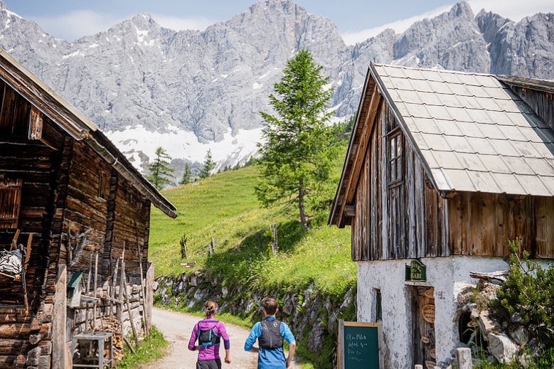 Hotel Trek Safari - King Dachstein Trail pro běžce